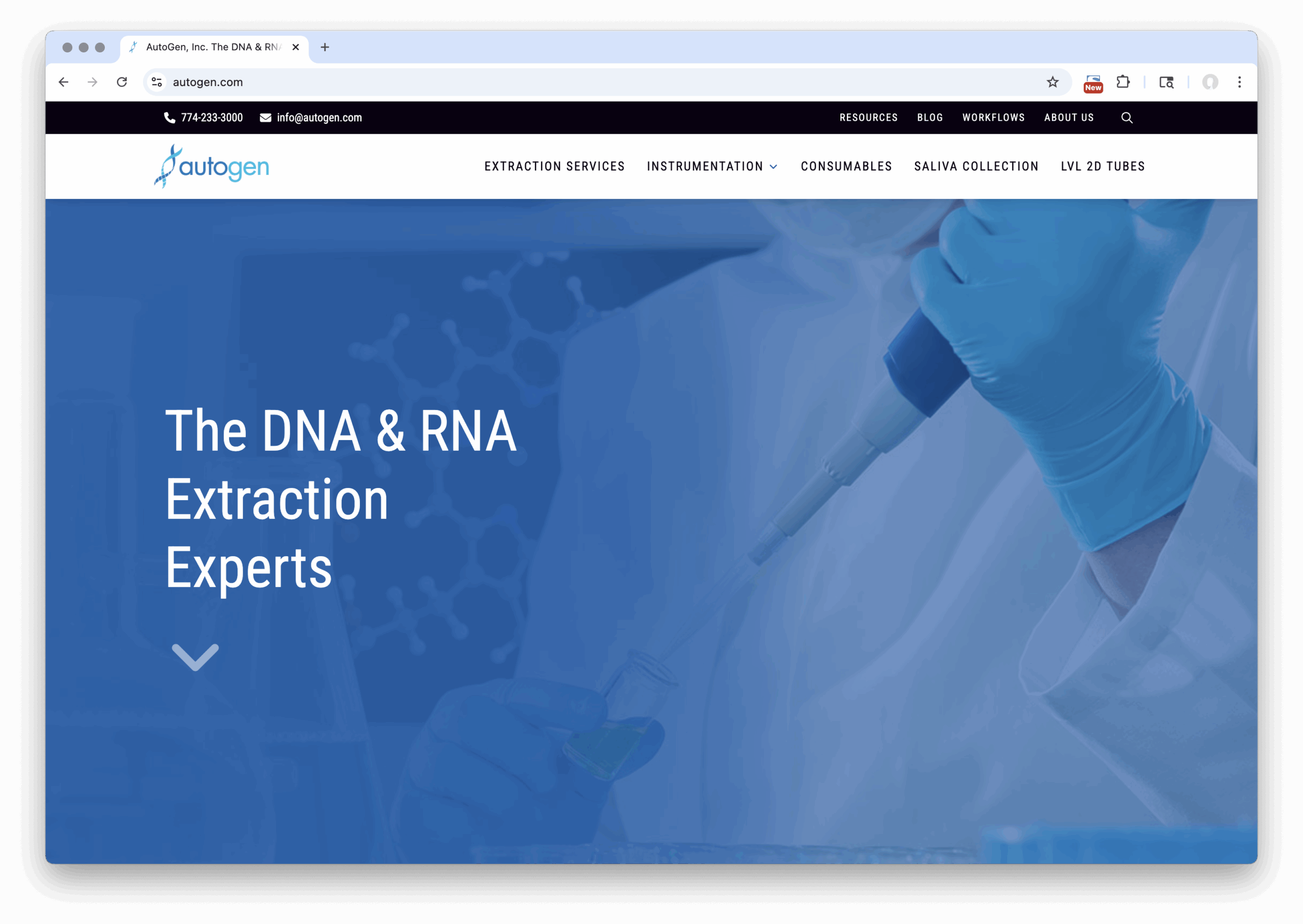 Websites 1 autogen website design
