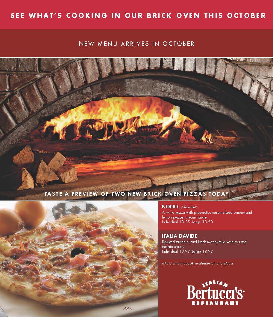 Bert Fall insert aug2010 final lr Page 3